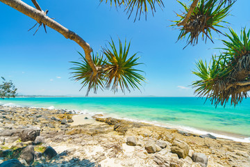 Canvas Print - Noosa National Park on a perfect day with blue water and pandanus palms on the Sunshine Coast in Queensland