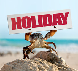 Wall Mural - crab on wild nature