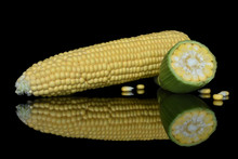Ripe Cobs Of Yellow Corn On A Black Background With Bright Reflection In The Glass