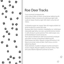 Cover Design With Traces Of Forest Animal, Trace Of A Roe Deer Animal , Vector Illustration