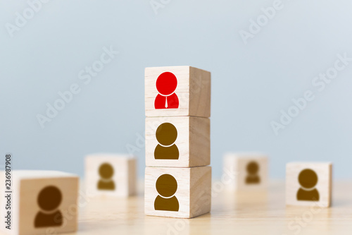 Fotografie, Obraz Human resources management and recruitment business build team concept