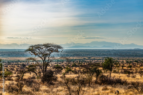 Early morning landscape, Samburu National Reserve, Great Rift Valley, Kenya Tableau sur Toile