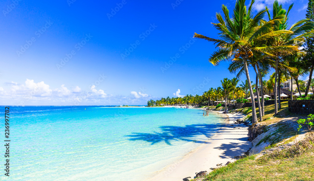 amazing tropical beach scenery. Mauritius island, Bel mare - obrazy, fototapety, plakaty 