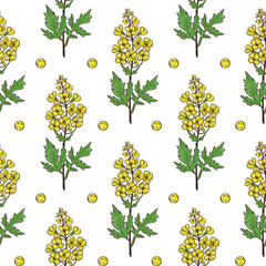 Mustard. Plant. Flower, leaf, stem, seed. Background, wallpaper, texture, seamless. Sketch.