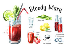 Cocktail With Alcohol Bloody Mary Ingredients Set. Watercolor Hand Drawn Illustration  Isolated On White Background