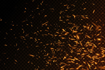 Vector realistic isolated fire effect for decoration and covering on the transparent background. Concept of sparkles, flame and light.