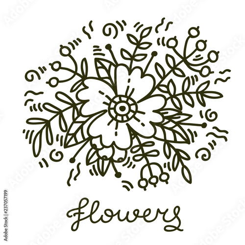 Foto Botanical decorative flower floral element vector illustration