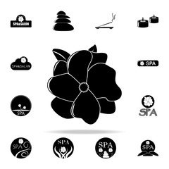 Poster - magnolia flower illustration icon. Spa icons universal set for web and mobile