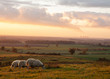 sunset, sheep,power station in trent valley, lincolnshire