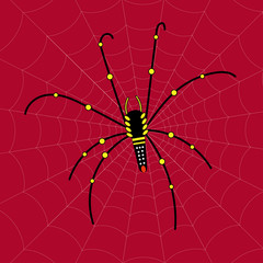 Black Spider with colourful pattern on itself.