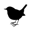 robin bird vector illustration,  black silhouette,profile 