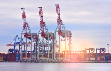 Maritime port with cranes during the dawn. Business industry background.