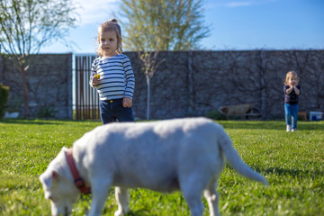 child enjoying a garden with a dog