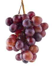 Canvas Print - grapes isolated on white background