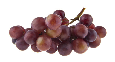 Canvas Print - grapes isolated on white background