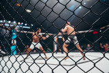 Two fighters in ultimate fight cage during the match