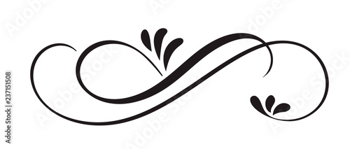 Fotomural Hand Drawn Calligraphic Floral Spring Flourish Design Elements in style isolated on white background