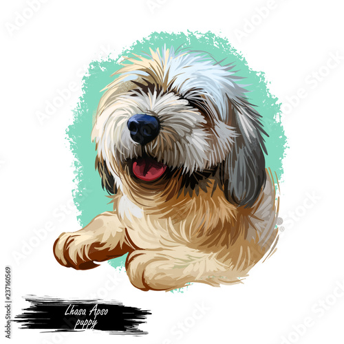 muzzle for lhasa apso