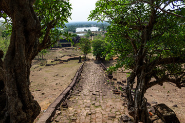 Wall Mural - Road to Vat Phou Laos