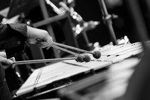  Hands Of A Music Player Playing A Vibraphone Close-up In Black And White