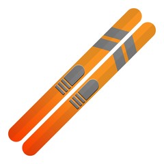 Poster - Ski icon. Cartoon of ski vector icon for web design isolated on white background