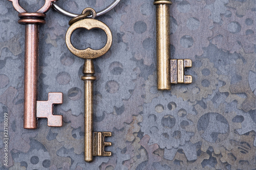 Fotografie, Obraz Panta rhei concept: old antique metallic keys and hour gears like art texture, b