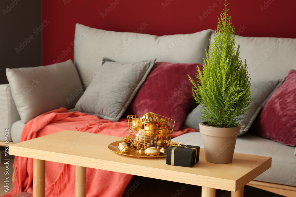 Thuya tree with Christmas gift and decorations on wooden table in room