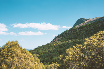 panorama of green mountain and blue sky