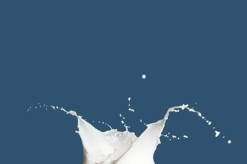 Splash of milk on color background