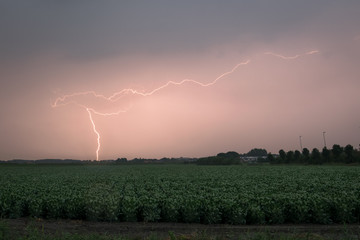 Wall Mural - a bright lightning bolt strikes on earth during a severe thunderstorm in the netherlands