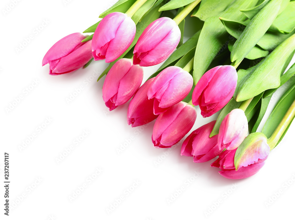 Beautiful tulips for Mother's Day on white background