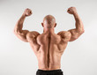 © Pixel-Shot - Muscular bodybuilder on light background