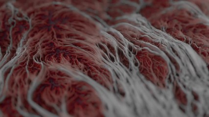 4k abstract tissue. seamless loop