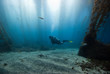 Scuba Diver in a glade of a kelp forest with sun in the background