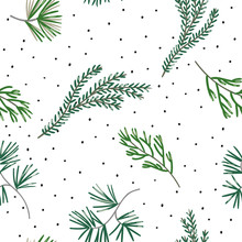 Christmas Seamless Pattern, White Background. Green Pine Twigs, Snow. Vector Illustration. Nature Design. Season Greeting Digital Paper. Winter Xmas Forest Holidays