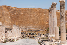 Palladius Street And Columns  In The Ancient Roman City Of Beit Shean With Tel Beit Shean In The Background