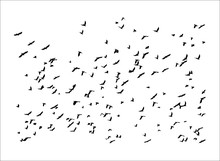 Illustration Of Many Black Bird Silhouettes