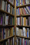 Fototapeta  - biblioteca vintage libro