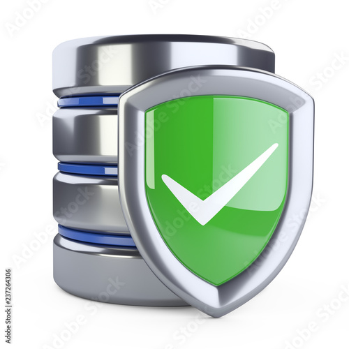 Fotografie, Obraz Hard disk icon with green protection shield - front view