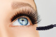 © Olesia - Female eye with extreme long eyelashes and brush of mascara. Make-up, cosmetics, beauty