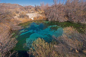  Natural Spring in a Desert Valley