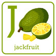 An alphabet with cute fruits, Letter J jackfruit