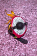 © Jessica Pettway - BDSM Dragon Fruit