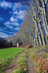 Wall Mural - Rural France in winter