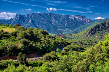 Wall Mural - Vineyards and mountains in the Saint Chinian wine region of the Languedoc, south of France