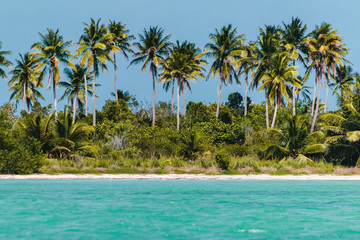 Canvas Print - Saona Island near Punta Cana, Dominican Republic