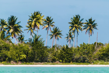 Canvas Print - Saona Island near Punta Cana, Dominican Republic