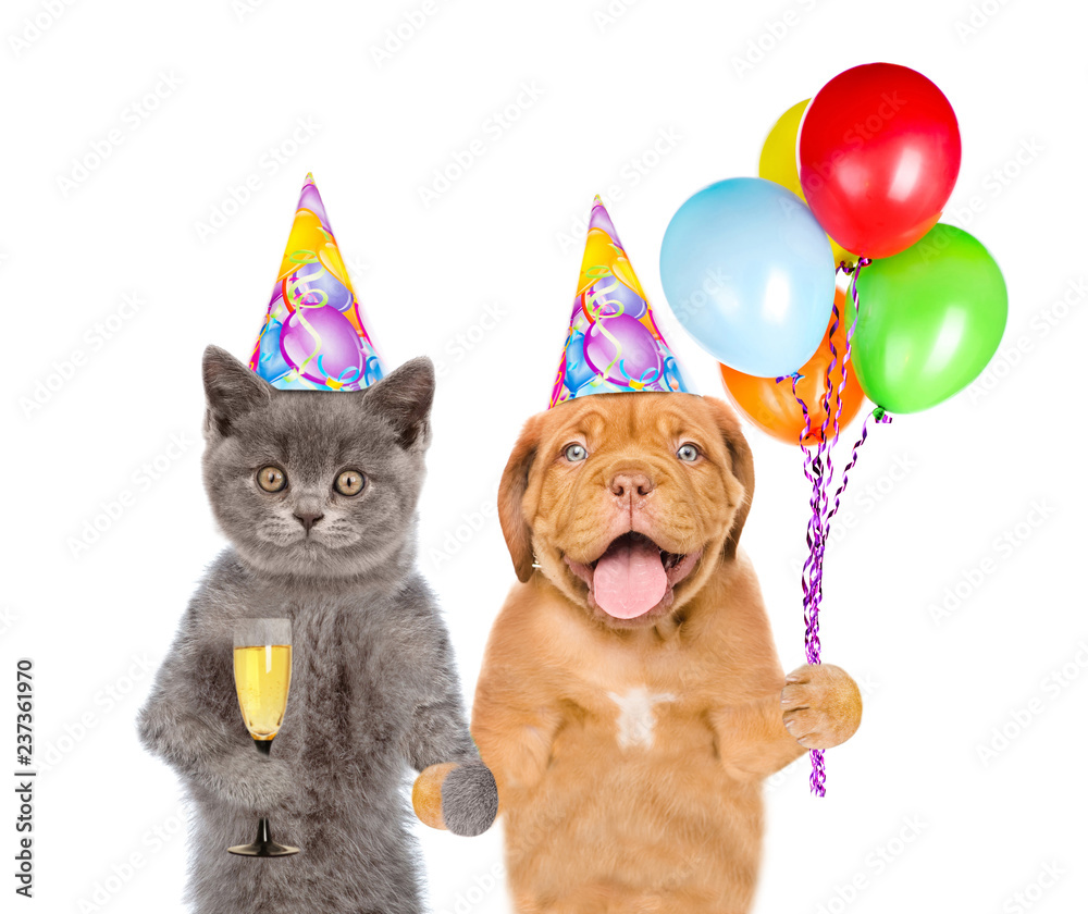 Party Dogs And Cats