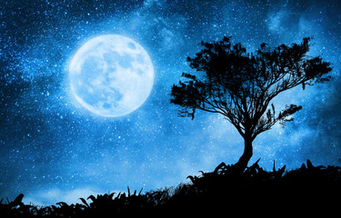 Wall Mural - a magic night lanscape with starry sky