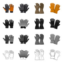 Vector Design Of Glove And Winter Logo. Collection Of Glove And Equipment Vector Icon For Stock.